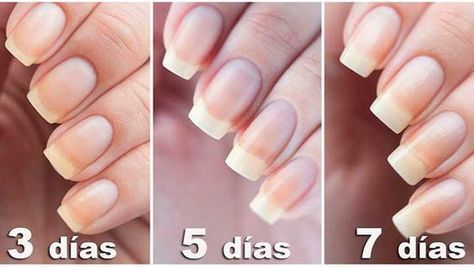 💖BASE MILAGROSA UÑAS DE TITANIOX3💖